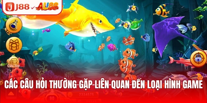 Các câu hỏi thường gặp liên quan đến loại hình game