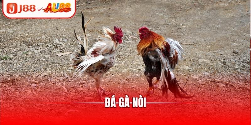 Đá Gà SV128 - Sảnh Giải Trí Uy Tín, Nhiều Trận Đấu Hot