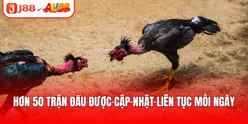 Hơn 50 trận đấu tại nhà cái được cập nhật liên tục mỗi ngày